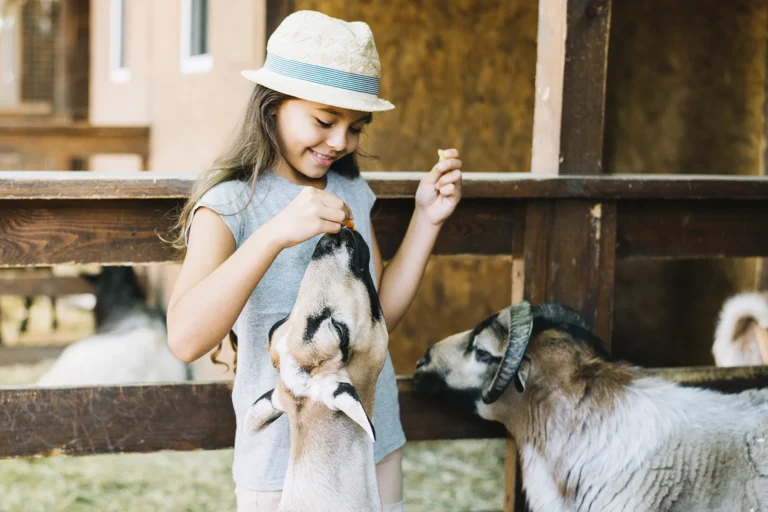 esperienza per bambini e famiglie incontri con gli animali e fattoria